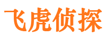 盐边侦探公司